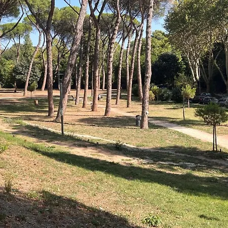 Night And Day Apartment *